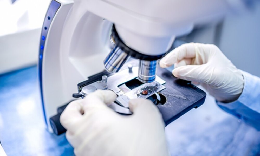 Certificate of Diagnostic Techniques in Life Sciences