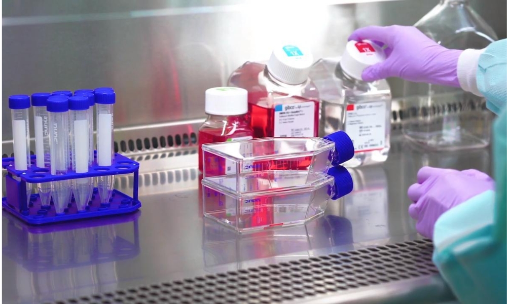 Certificate Course in Cell Culture